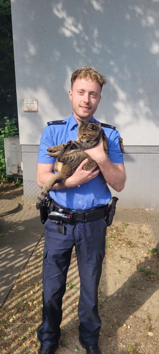 POL-VDMZ: (Katzen-) Halter gesucht