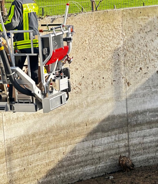 FW-EN: Tierrettungseinsatz in Linderhausen. Eule muss gerettet werden.