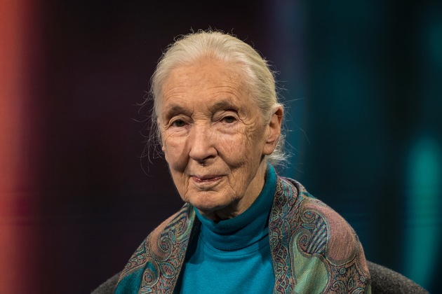 &quot;phoenix persönlich&quot;: Verhaltensforscherin Jane Goodall zu Gast bei Theo Koll - Samstag, 02.11.2024, 0:00 Uhr