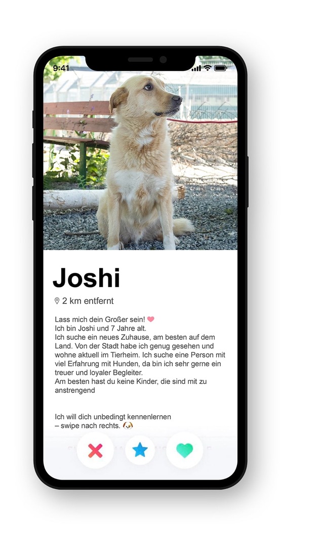Purrfect Match: TERRITORY sucht auf Tinder ein neues Zuhause für ausgesetzte Haustiere