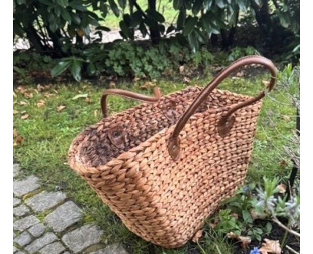 POL-SE: Norderstedt - Unbekannte setzen zwei Meerschweinchen auf einem Feld aus - Polizei sucht Zeugen