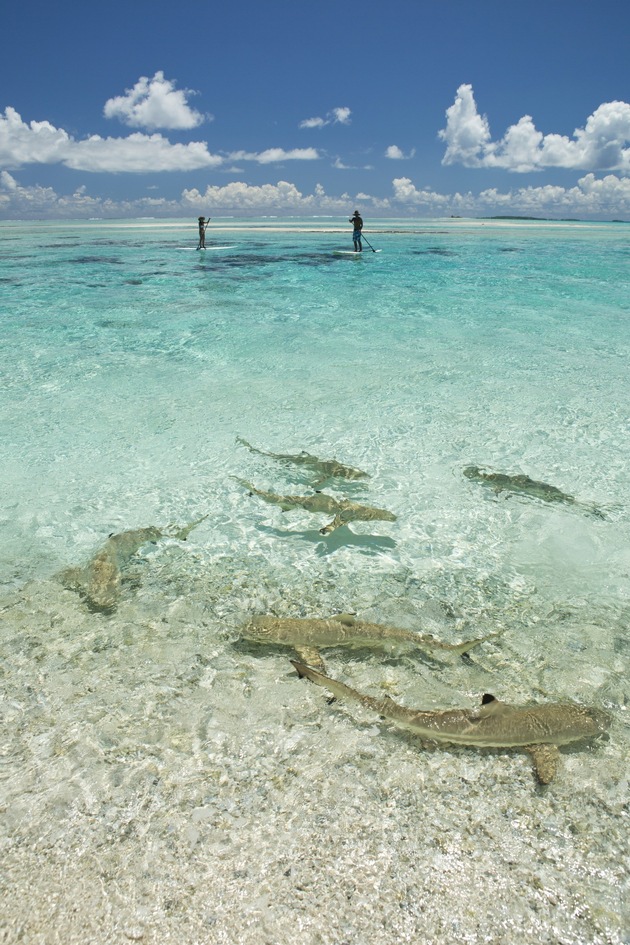 Acht noch (fast) unbekannte kulturelle Fakten der Inseln von Tahiti