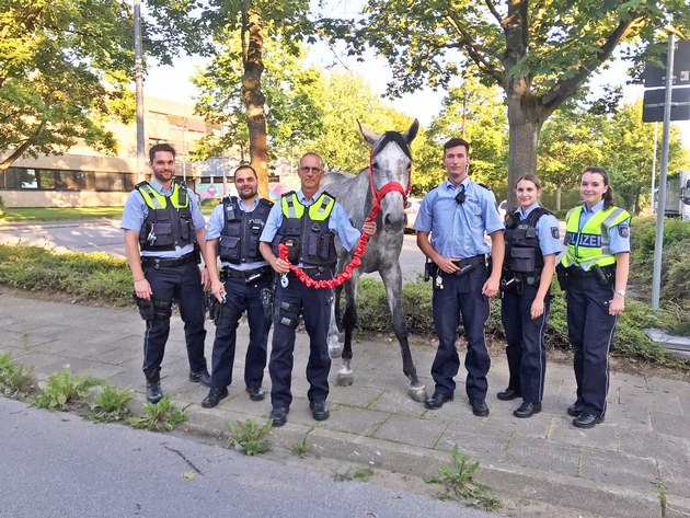 POL-ME: Tierische Einsätze für die Polizei: Gleich zwei freilaufende Pferde gerettet - Hilden / Erkrath / Langenfeld - 2007112