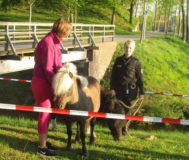 POL-STD: Zwei Ponys büxen in Stade aus - Polizei kann sie nach kurzer Fahndung vorläufig &quot;festnehmen&quot; und den Besitzern übergeben