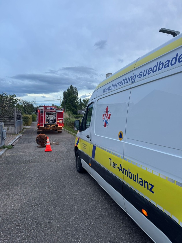 FW Allensbach: H1 Tierrettung