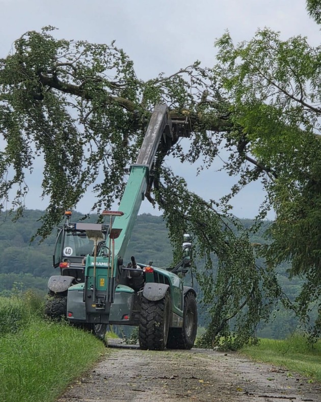 FW Ense: Baum auf Fahrbahn