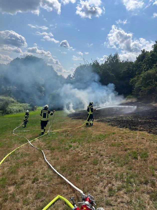 FW-EN: Wiese brennt am Wiggers - Feuer droht auf Wald überzugreifen