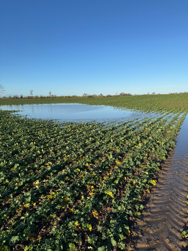 Studie warnt: Agrarmodelle unterschätzen Folgen von Wasserstau für Ertrag und Boden