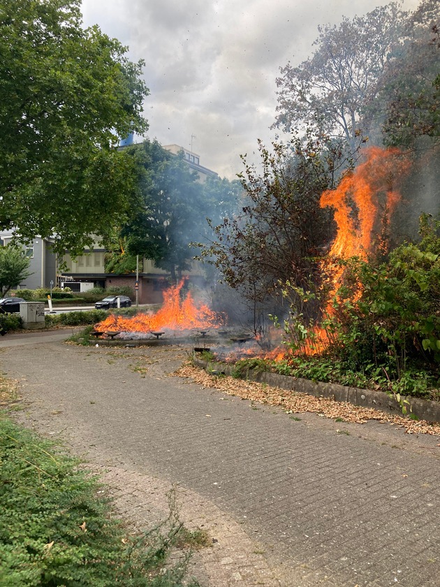 FW-OB: Vegetationsbrand an Kreuzung erfolgreich gelöscht - Ausbreitung verhindert
