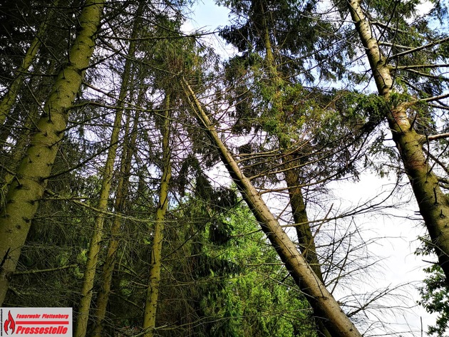 FW-PL: OT-Dingeringhausen, Baum droht auf Straße zu stürzen