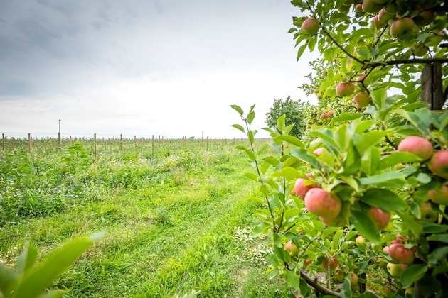 Internationaler Tag der biologischen Vielfalt: Partnerschaftlich f&uuml;r Natur und Landwirtschaft - Netto unterst&uuml;tzt den Erhalt heimischer Artenvielfalt