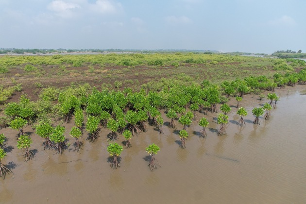 UN-Welt-Seen-Tag am 27. August 2026: GNF und Living Lakes nominieren die indischen Sundarbans