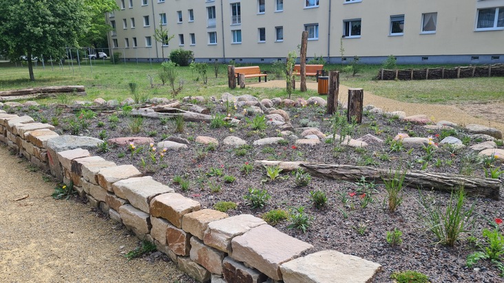 Berlin-Köpenick: So wohnt es sich „natürlich“ besser 🌼🏡🌼