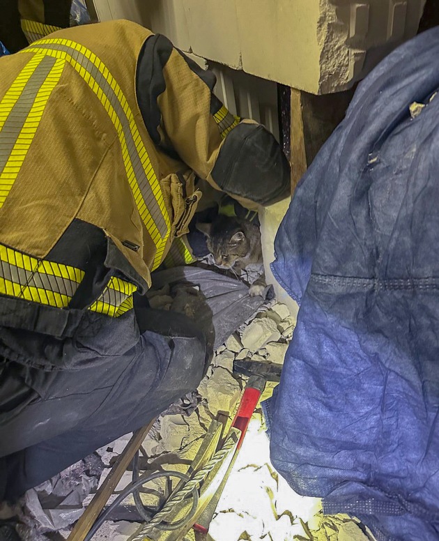 FW-E: Katze in Zwangslage - Feuerwehr befreit &quot;Schreihals&quot; nach dreistündigem Einsatz