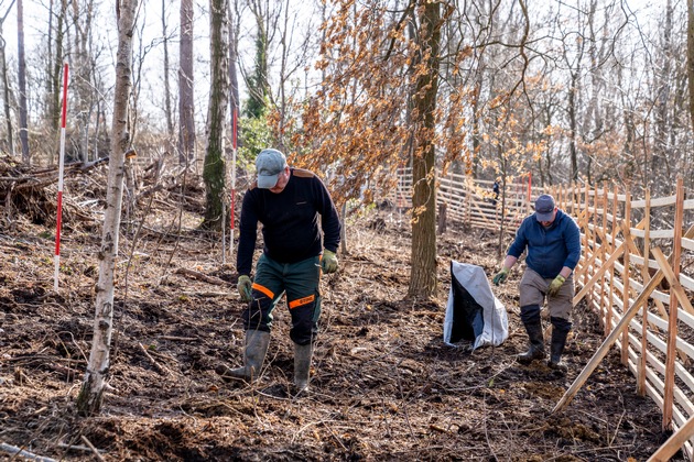 lavera Waldprojekt - 7500 neue B&auml;ume f&uuml;r die Bantorfer H&ouml;h