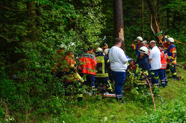 KFV-CW: Unfall mit zwei Schwerverletzten in Kleinwagen. Fahrt endet im Wald.