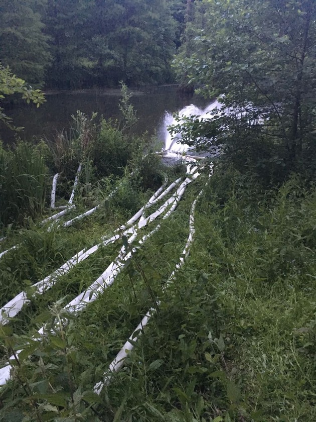 FW-DO: Ungewöhnlicher Einsatz für die Feuerwehr //
Biotop mit Sumpfpflanzen im Rombergpark durch niedrigen Wasserstand bedroht