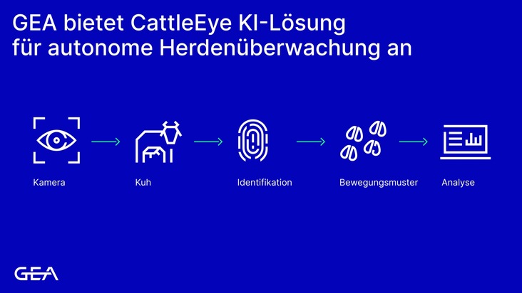 GEA sieht neues Potenzial in der Rinderzucht: CattleEye-Daten unterstützen genetische Ansätze gegen Lahmheit