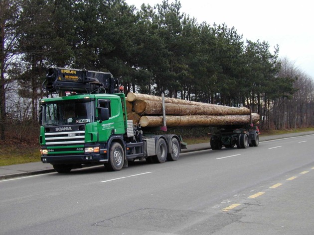 ASTAG: Une évacuation efficace du bois Lothar&quot;