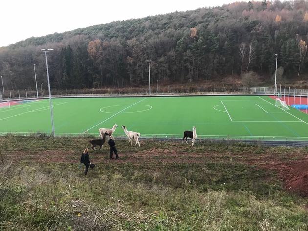 POL-PPWP: Spielbegegnung verhindert