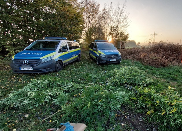 POL-NMS: 241028-2-pdnms Cannabis Ernte in Bönebüttel aufgeflogen