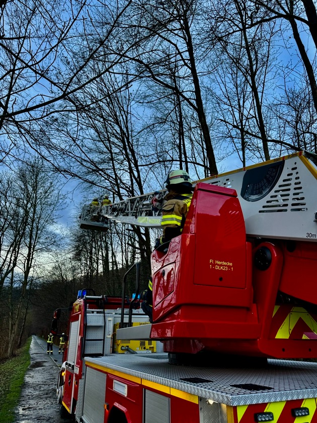 FW-EN: Ruhige Silvesternacht für die Feuerwehr - 8 Kleineinsätze am Wochenende: Gefahrenast entfernt und Blässhuhn gerettet.