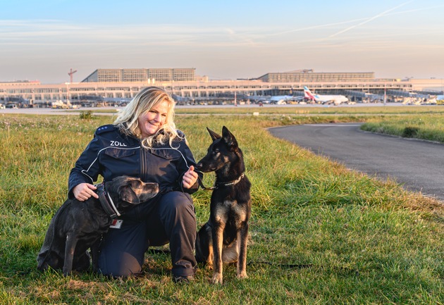 HZA-S: In Rente mit elf Jahren? Zollhund Dewi vom Stuttgarter Flughafen geht in den Ruhestand.