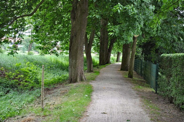 POL-DEL: Landkreis Oldenburg: Junge Bäume auf dem Hunte Rad-und Wanderweg in Wildeshausen abgesägt+++Zeugenaufruf