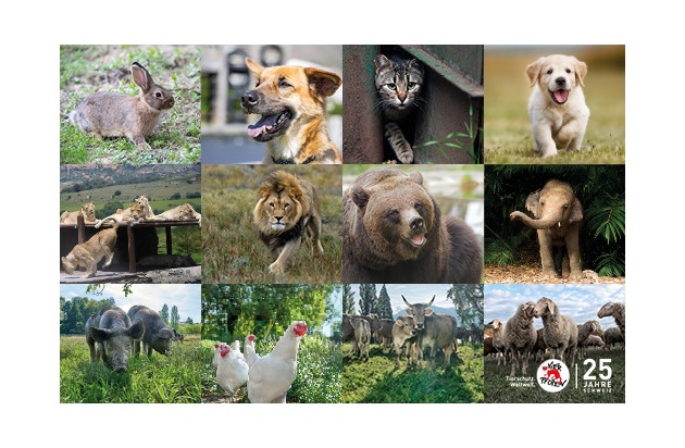 25 Jahre VIER PFOTEN in der Schweiz