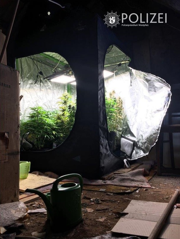 POL-PPWP: Indoor-Plantage unterm Dach