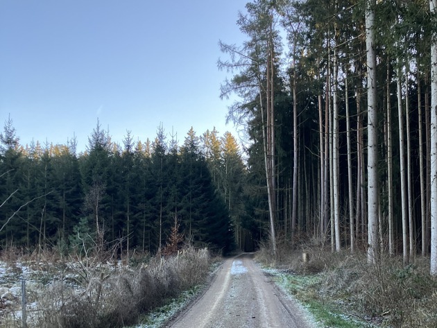Startschuss für den Windpark Holzheim