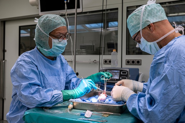40 Jahre Transplantationszentrum Stuttgart: Mehr als 2.300 Nierentransplantationen schenken neue Lebensperspektiven