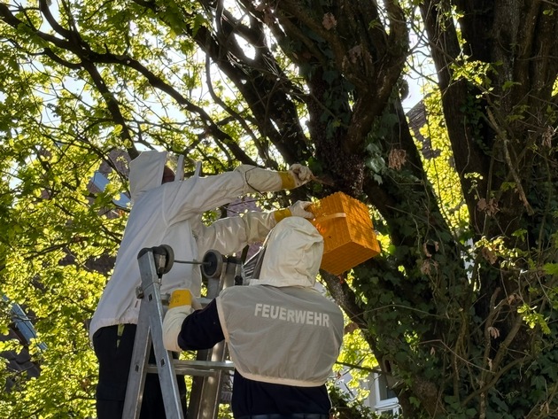 FW-DT: Bienenvolk auf Spielplatz umgesiedelt - Feuerwehr unterst&uuml;tzt Kommunalordnungsdienst