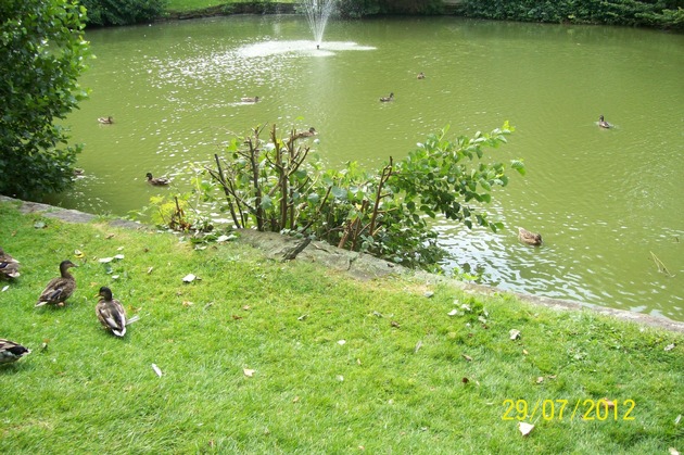 POL-STH: Sachbeschädigungen im Stadtpark