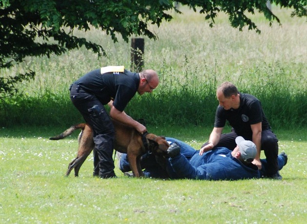 POL-NI: Polizeihunde und Diensthundführer im Wettstreit