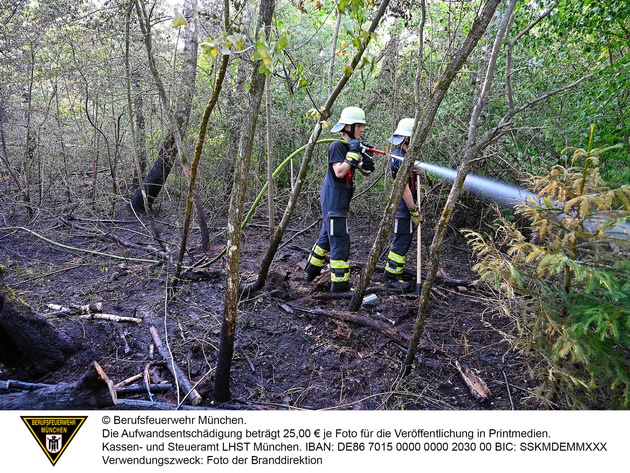 FW-M: 1000 Quadratmeter Wald in Brand (Fasanerie)