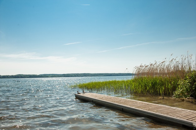 Ratzeburger See ist erneut „Dein Lieblingssee Schleswig-Holstein“