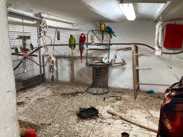 POL-E: Essen: Sicherstellung von 28 geschützten Papageien und weiteren Tieren