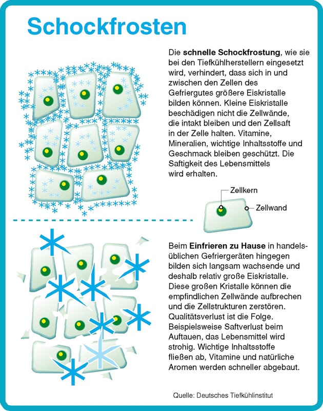 Schockfrostung: schnell und schonend / Tiefkühlkost qualitativ besser als selbst einfrieren