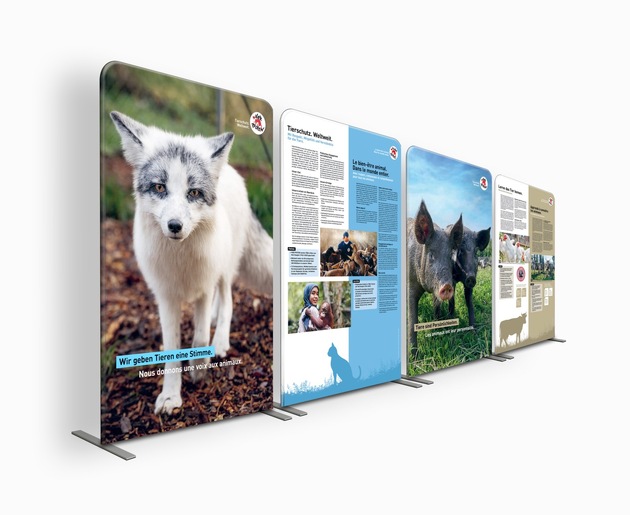 25 Jahre VIER PFOTEN in der Schweiz