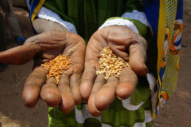 Nouvelle prise de position de Caritas Suisse sur la situation dans le Sahel / La pauvreté entrave l&#039;adaptation au changement climatique (IMAGE)