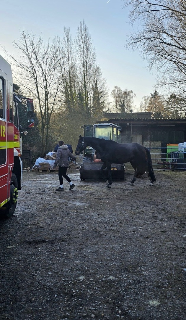 FW-MH: Tier in Notlage - Technische Hilfeleistung durch die Feuerwehr