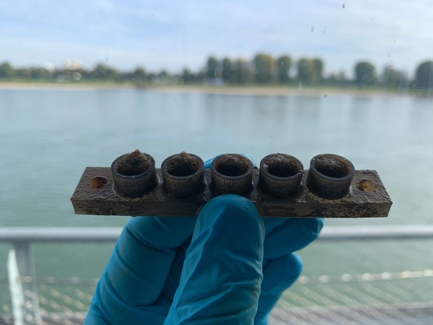 Reifenabrieb im Rhein: Wie Mikroplastik die Flussökologie verändert