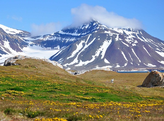 Expedition in die Arktis: Nachhaltiges Abenteuer auf Spitzbergen mit dem neuen Solar-Segelschiff «Captain Arctic»
