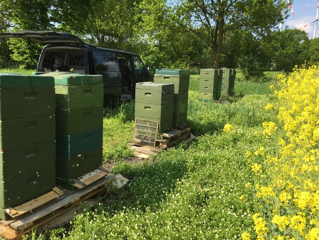 POL-CUX: Bienenvölker gestohlen - Polizei sucht Zeugen für Abtransport von 16 Bienenkästen (drei Bilder vorhanden)