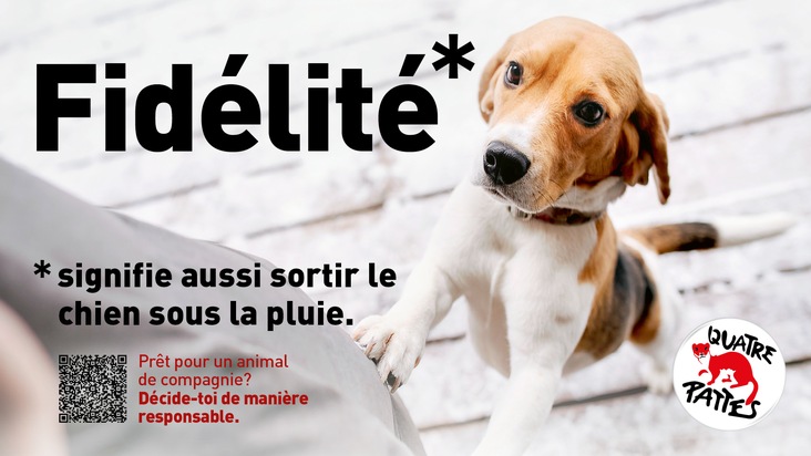 QUATRE PATTES en Suisse lance la campagne &laquo;Pr&ecirc;t pour un animal de compagnie? D&eacute;cide-toi de mani&egrave;re responsable&raquo;
