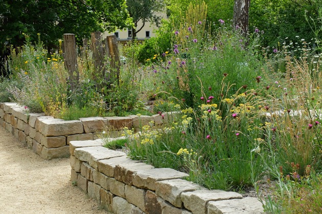 Erster zertifizierter Fachbetrieb für Planung von naturnahem Grün in Berlin 🏢🏡🌿