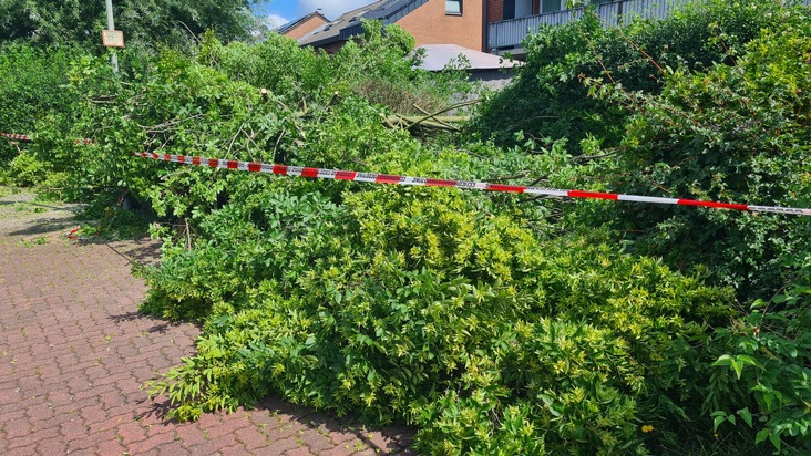 FW-Schermbeck: Sturmschaden am Ulmenweg