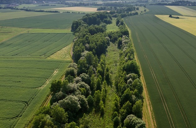 Bund für Umwelt und Naturschutz Deutschland e.V. (BUND): Großer Erfolg: Grünes Band wird von Deutschland als UNESCO-Welterbe vorgeschlagen / Vom BUND am 9. Dezember 1989 initiiert