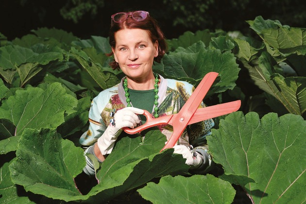 Pressemeldung: Wenn das Klima aus der Karte springt